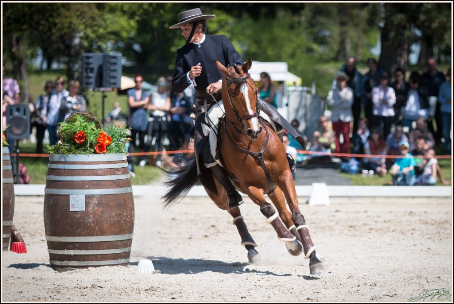 Pferd International 066